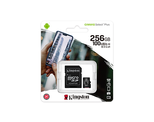 Kingston - Flash memory card