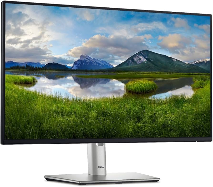 Dell - LED-backlit LCD monitor - 23.8" - 1920 x 1080 - P2425HE